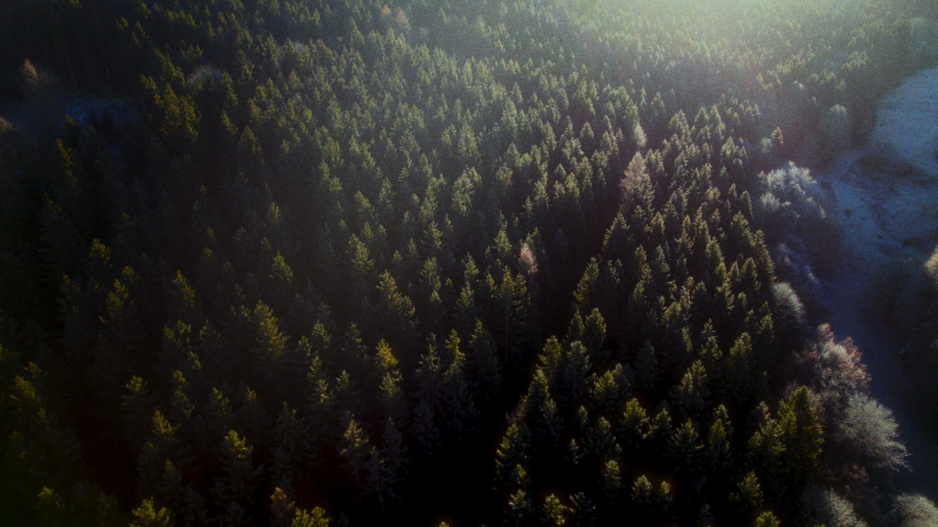 Concept Trailer "Backpacker"