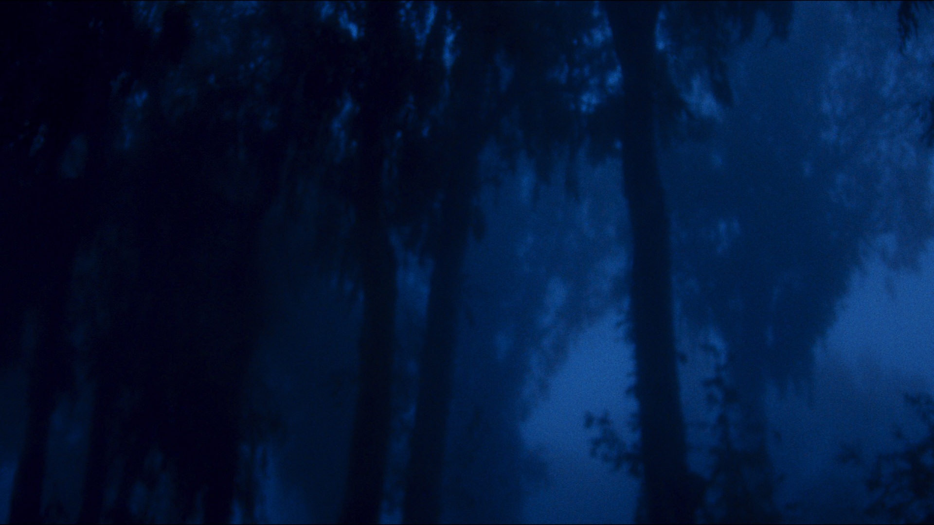 Concept Trailer "Backpacker"
