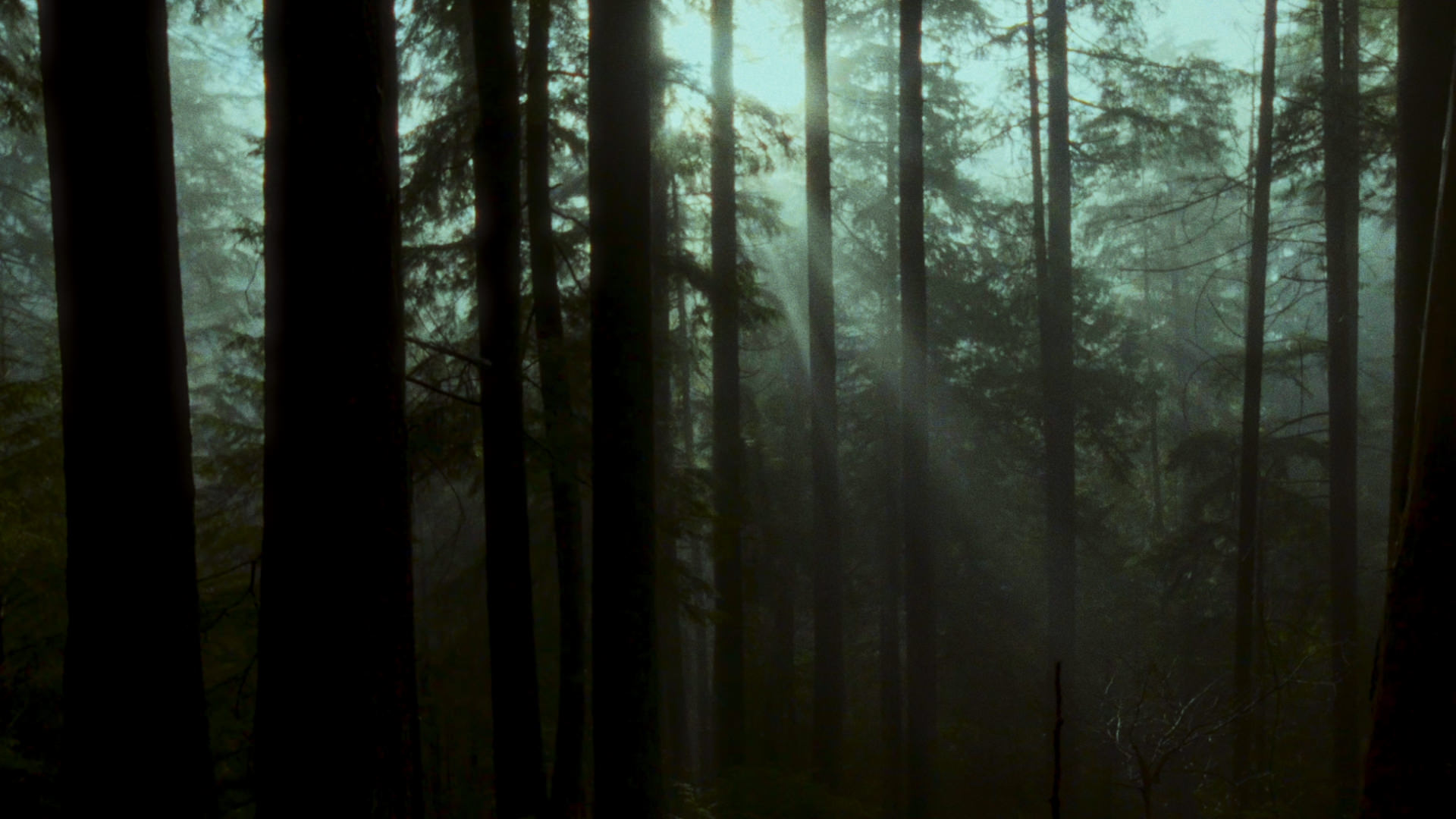 Concept Trailer "Backpacker"