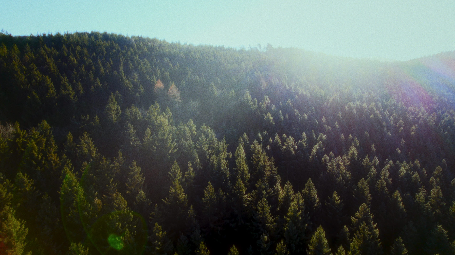 Concept Trailer "Backpacker"