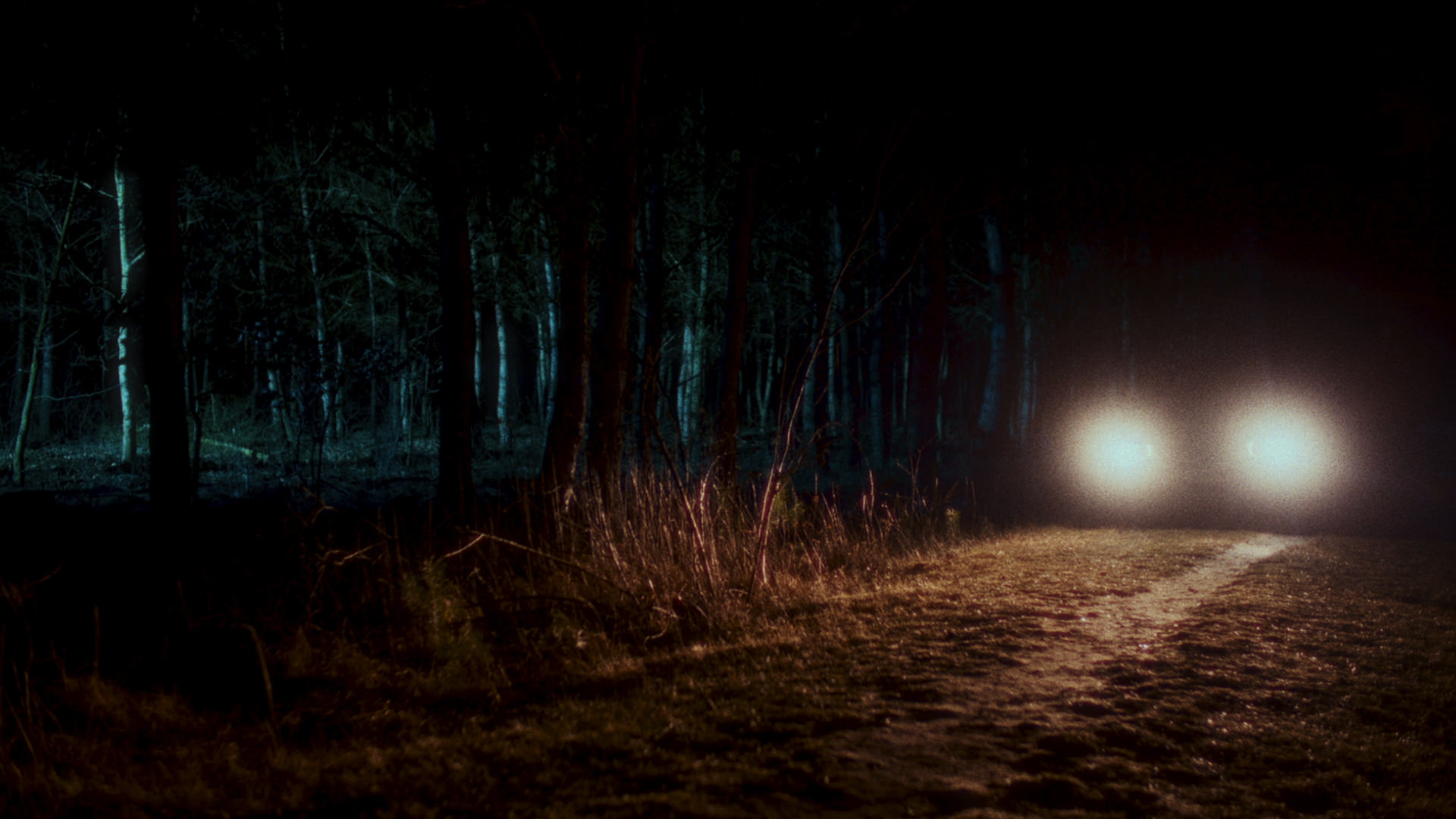 Concept Trailer "Backpacker"