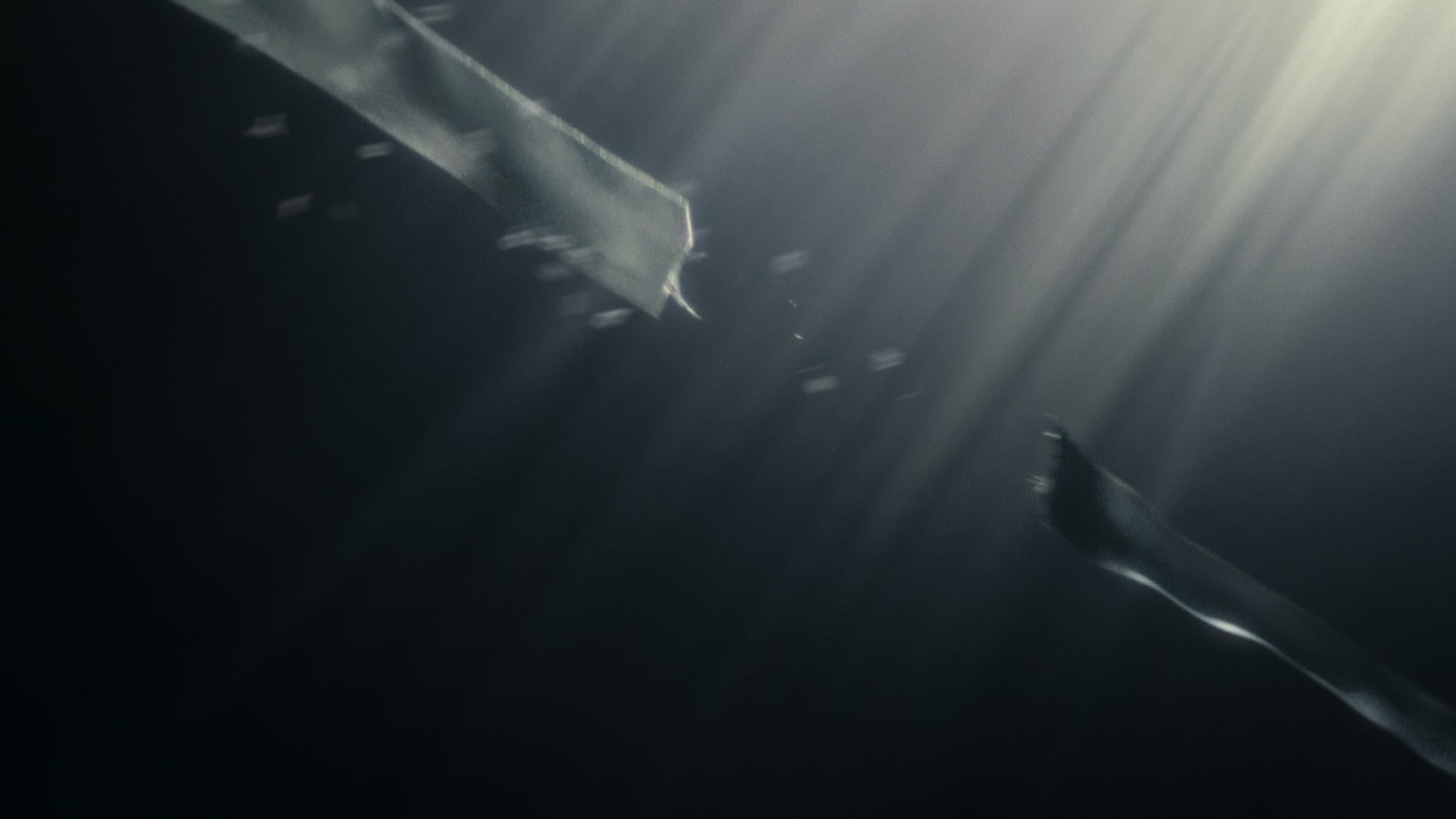 Liht Organics: "RISE" Brand Film